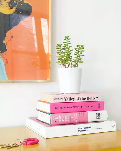گل یشم - نمونه 6 از محبوب ترین گیاهان آپارتمانی